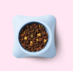 Small dog dish